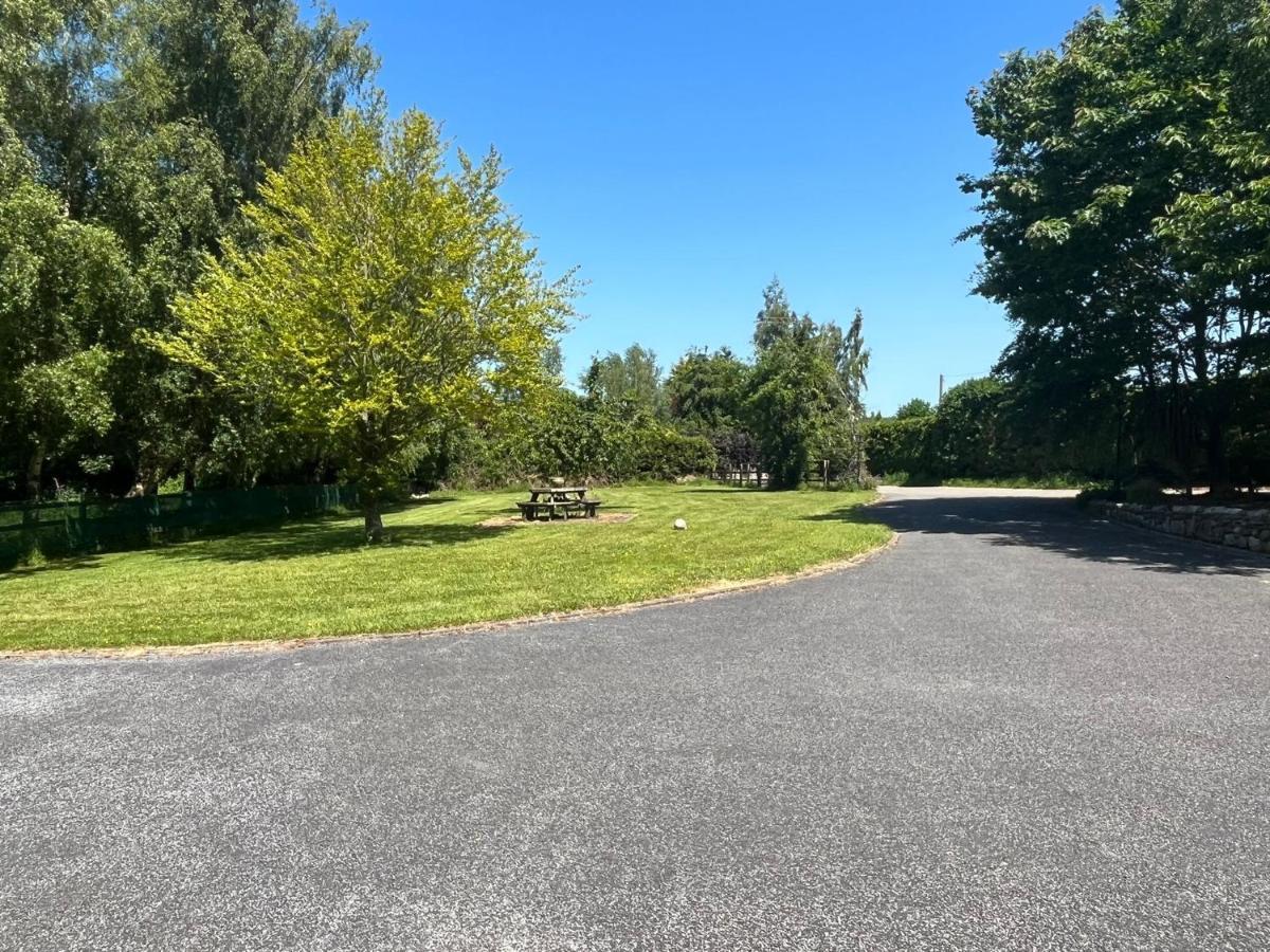 Graiguenamanagh Homestay Exteriör bild