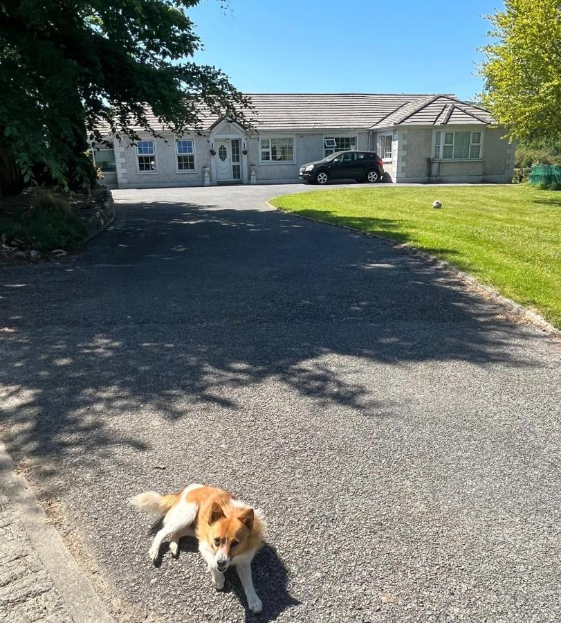 Graiguenamanagh Homestay Exteriör bild