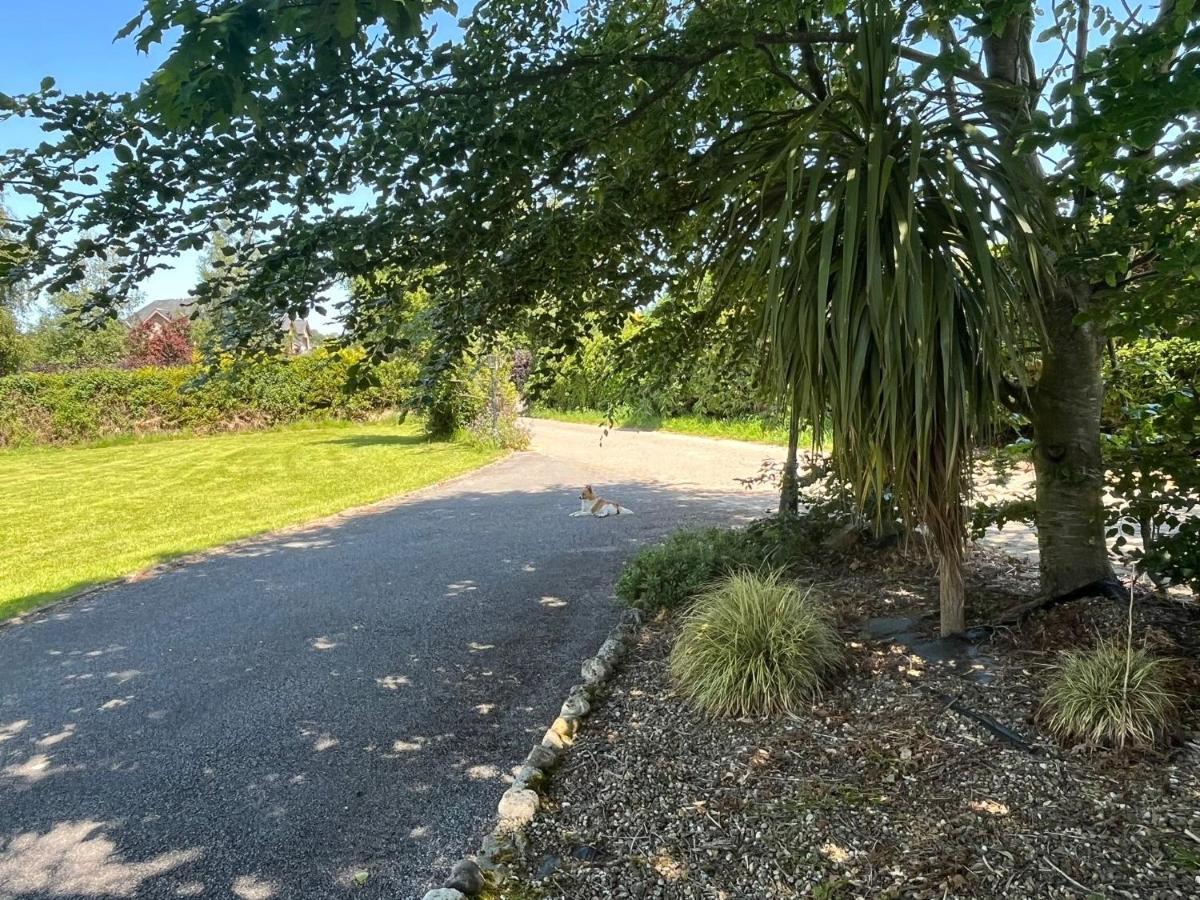 Graiguenamanagh Homestay Exteriör bild
